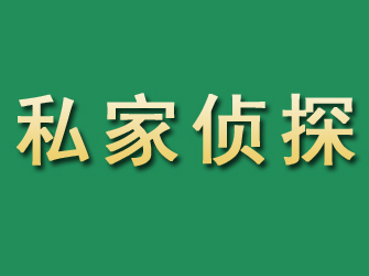 渝水市私家正规侦探